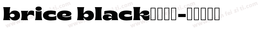 brice black字体下载字体转换